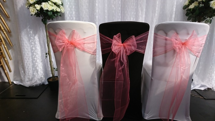 Salmon Organza Sash