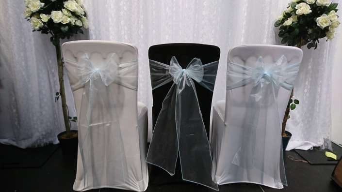Teal Organza Sash
