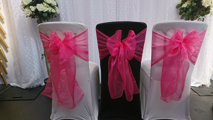 XL Barbie Pink Sash